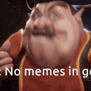 no-memes-in-general.gif