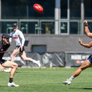 Nick Daicos IMG_5D4B4548.jpg