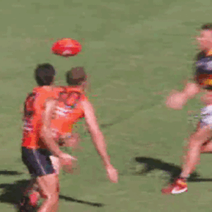 BigFooty.com-86051432.gif