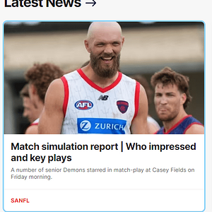 sanfl.PNG