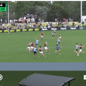 SmartSelect_20240223_205956_St%20Kilda.gif