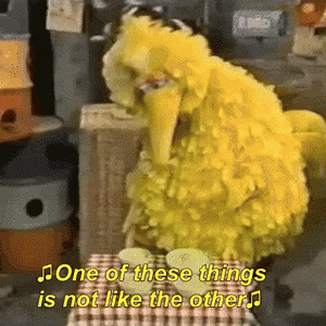 bigbird-one-of-these-things-is-not-like-the-others.gif