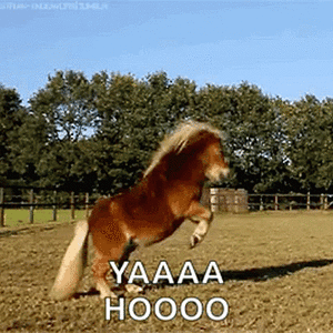 happy-horse.gif