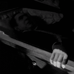 dracula-coffin-gif-6.gif