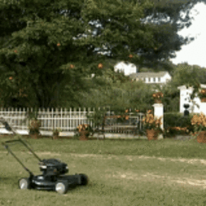 dave-chappelle-lawn-mower (1).gif