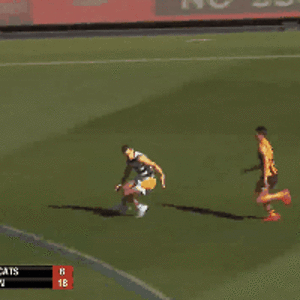 Selwood1.gif