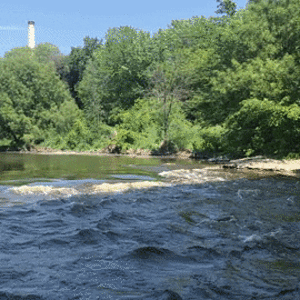 Lot of water under the bridge.gif