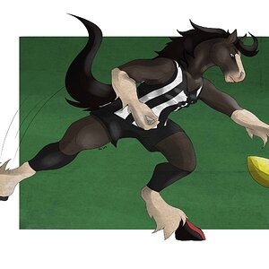 footy horse.jpeg