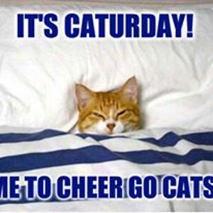 Caturday - Time to Cheer Go Cats-Small.jpg
