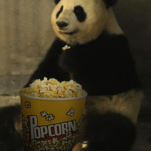 Popcorn Panda.gif