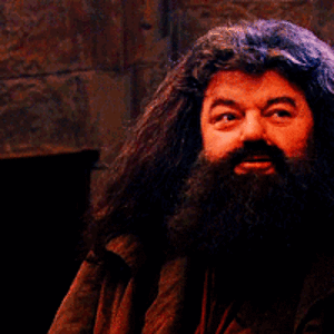 gif-of-hagrid-clapping-gif.gif