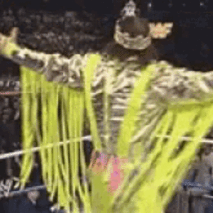 macho-man (2).gif