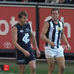 Carlton_v_Collingwood_2014_AFL_Season__Round_7.gif