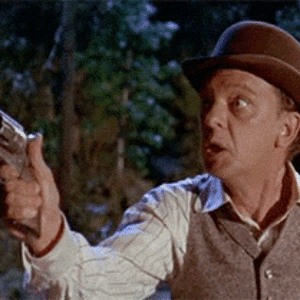 Don Knotts.gif