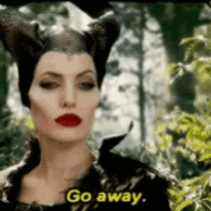 go-away-angelina-jolie.gif