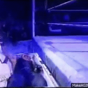 undertaker-coffin.gif