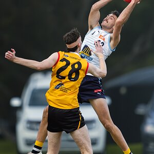 Pioneers v Stingrays-37.jpg