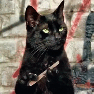 cat file nail file 2.gif