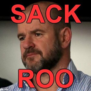 AFC SACK ROO.jpg