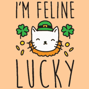 cat lucky-cat-st-patricks-day.gif