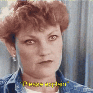 pauline-hanson-auspol.gif