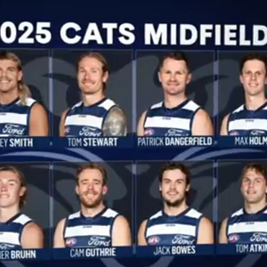 Cats mids 2025.PNG