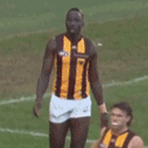 afl-hawthorn-hawks.gif