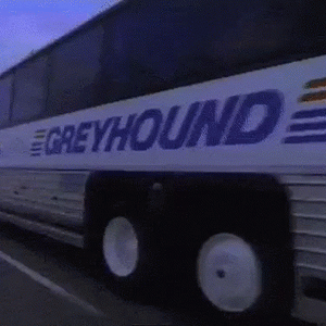 greyhound-bus.gif