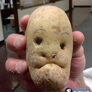 funny-fun-humor-human-face-alike-shape-potato-pic-pics-image-images-photos-pictures-600x-35829...jpg