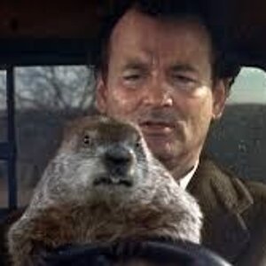 groundhog1.jpg