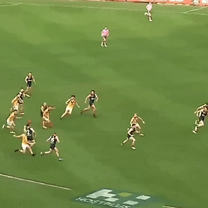 Screen_Recording_20240922_202928_SANFL Now_1_slow-mo_1.gif