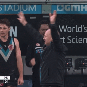 afl-coach.gif