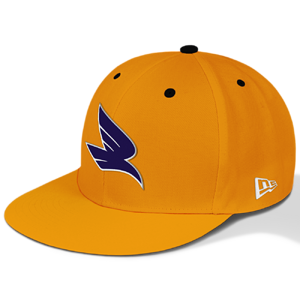 Snapback-Cap-Mockup-yellow.png