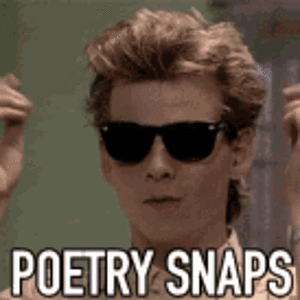 poetry-snaps.gif