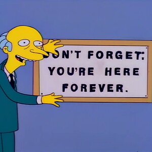 You're Here Forever.jpg