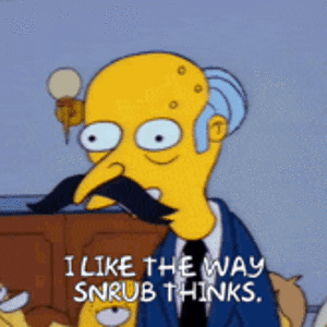 snrub-thinks-snrub.gif