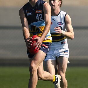 Pioneers v Bushrangers V2-25.jpg