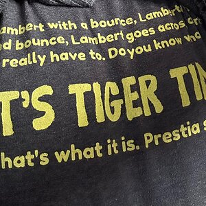 tigertime.jpeg