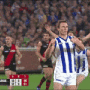 drew-petrie-north-melbourne.gif