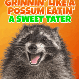 so-happy-really-happy-for-you-possum-eating-a-sweet-tater-a-you-did-what-funny-dog-gif-boop-bo...gif