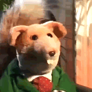 Basil Brush - boom boom.gif