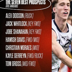 Seven Best Prospects left.jpg