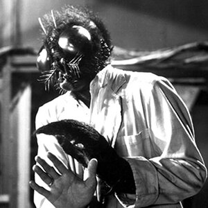 The Fly 1958_0.jpg