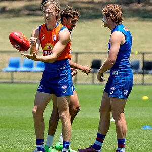 Bulldogs_training_Ballarat_09.JPG