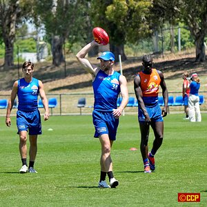 Bulldogs_training_Ballarat_11.JPG