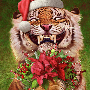 05-christmas-tiger-tu-tu.jpg