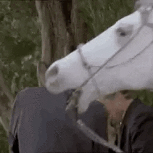 Horse-spew (1).GIF