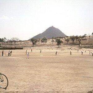 Pushkar-cricket.jpg