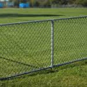 chin link fence.jpg