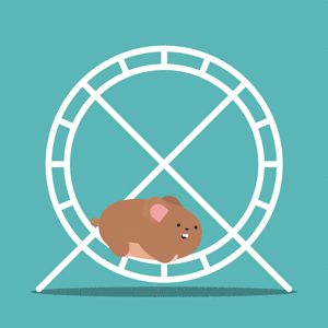 hamster-wheel-30.gif